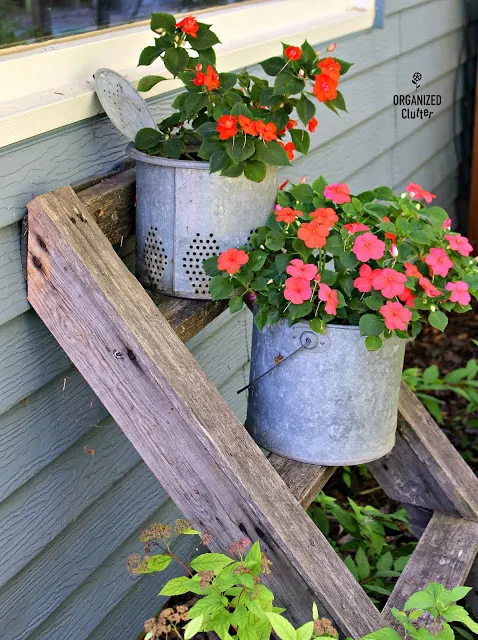 Buckets and Pails as Planters in the Junk Garden