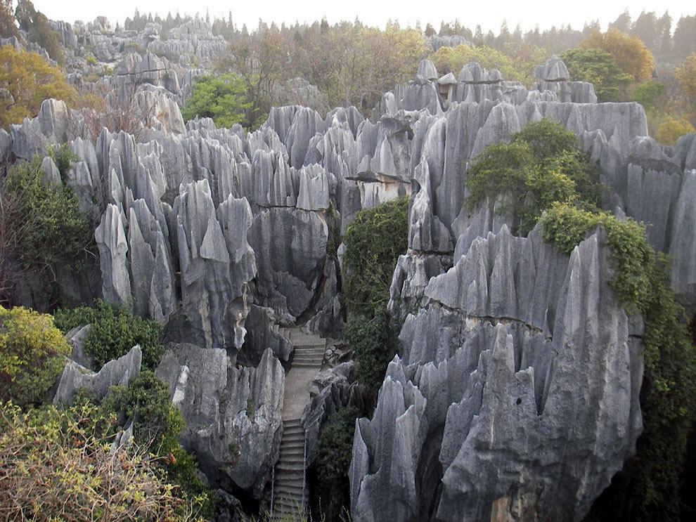 كوكبنا الجميل غابة الاحجار في الصين