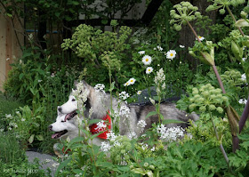 chelsea flower show zdjęcia z wycieczki