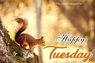 happy-tuesday-sayings-quotes-greetings-wishes-tuesday-hd-wallpapers-images-pics-photos-for-twitter