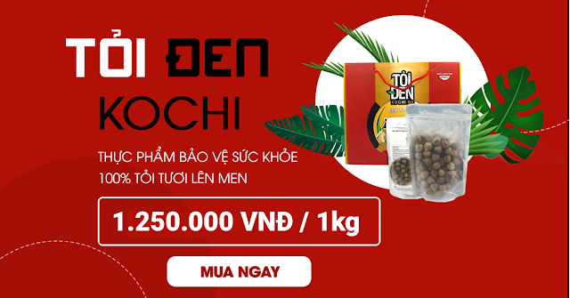 Toi Den KoChi - Thuc Pham Bao Ve Suc Khoe