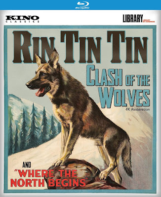 Rin Tin Tin Clash Of The Wolves Where The North Begins Bluray