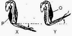 clip_image012