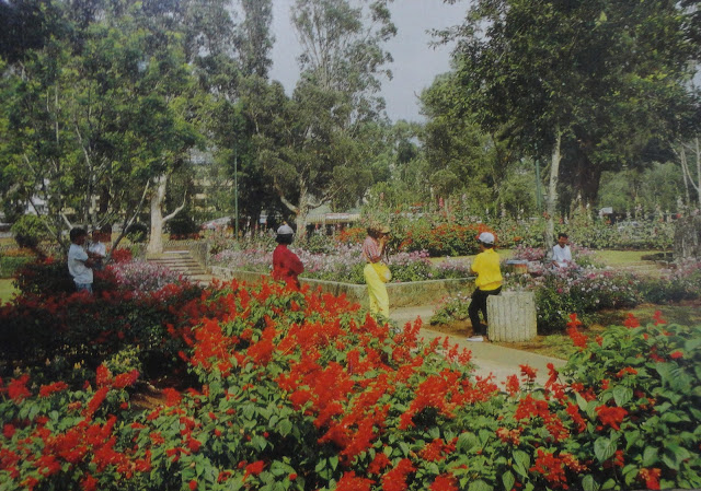 Baguio Botanical Garden postcard