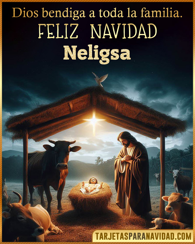 Feliz Navidad Neligsa