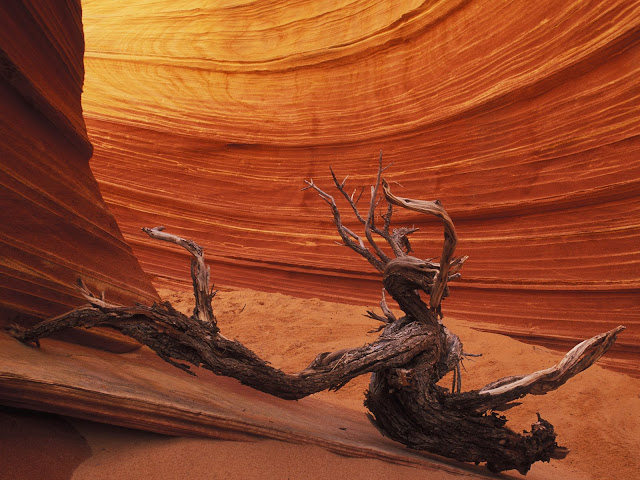 Paisajes de Arizona, Estados Unidos