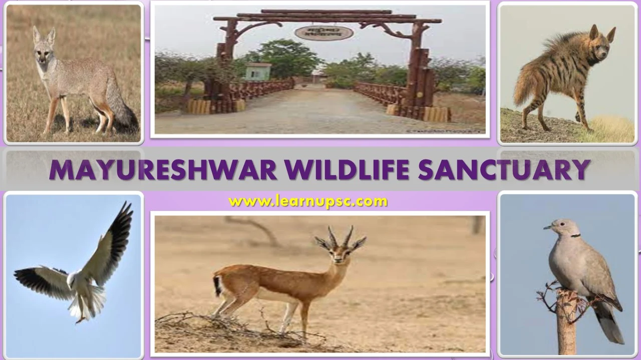 Mayureshwar Wildlife Sanctuary