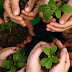 Educação Ambiental