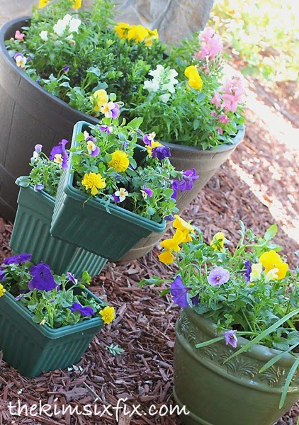 Container garden