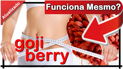  beneficios goji berry