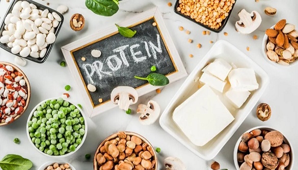 En iyi yüksek proteinli gıdalar nelerdir