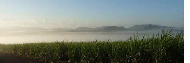 Wie wird das Wetter auf Mauritius? Eine Frage die heutzutage kaum noch jemand beantworten kann. Hier aber ein paar Anhaltspunkte, wie es über die letzten Jahre war.