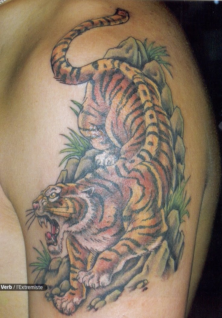 Tiger Arm Tattoo