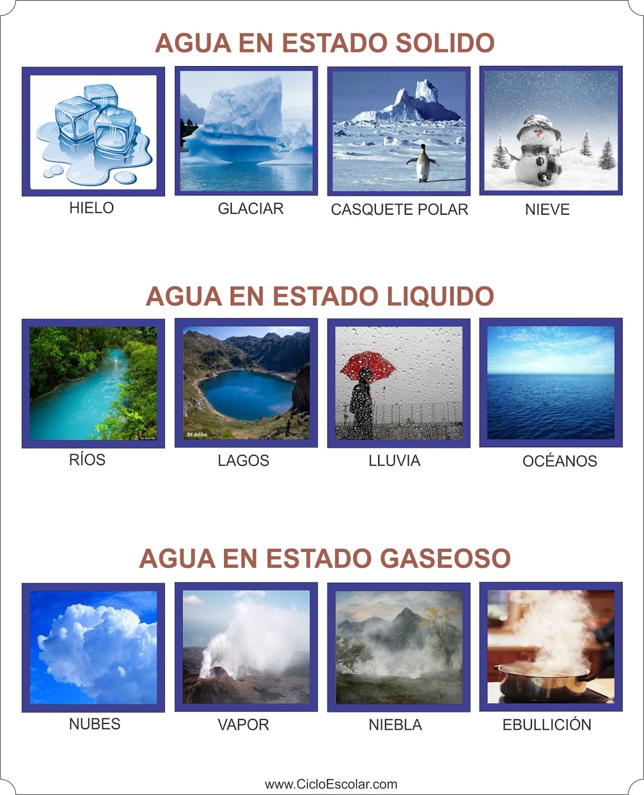 Los estados físicos del agua Ejemplos Ciclo Escolar