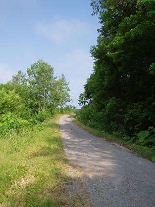 P6290147.jpg