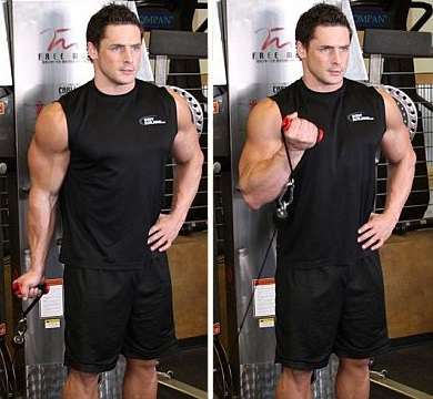 biceps egzersizleri