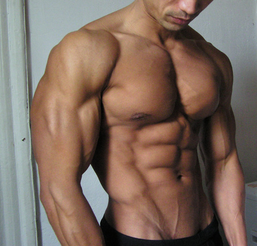 body fat percentage for defined arms