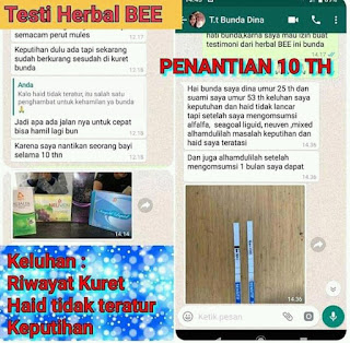 Testimoni Promil Bee Dari Bunda Dina Batam dgn Penantian 10 tahun Menikah