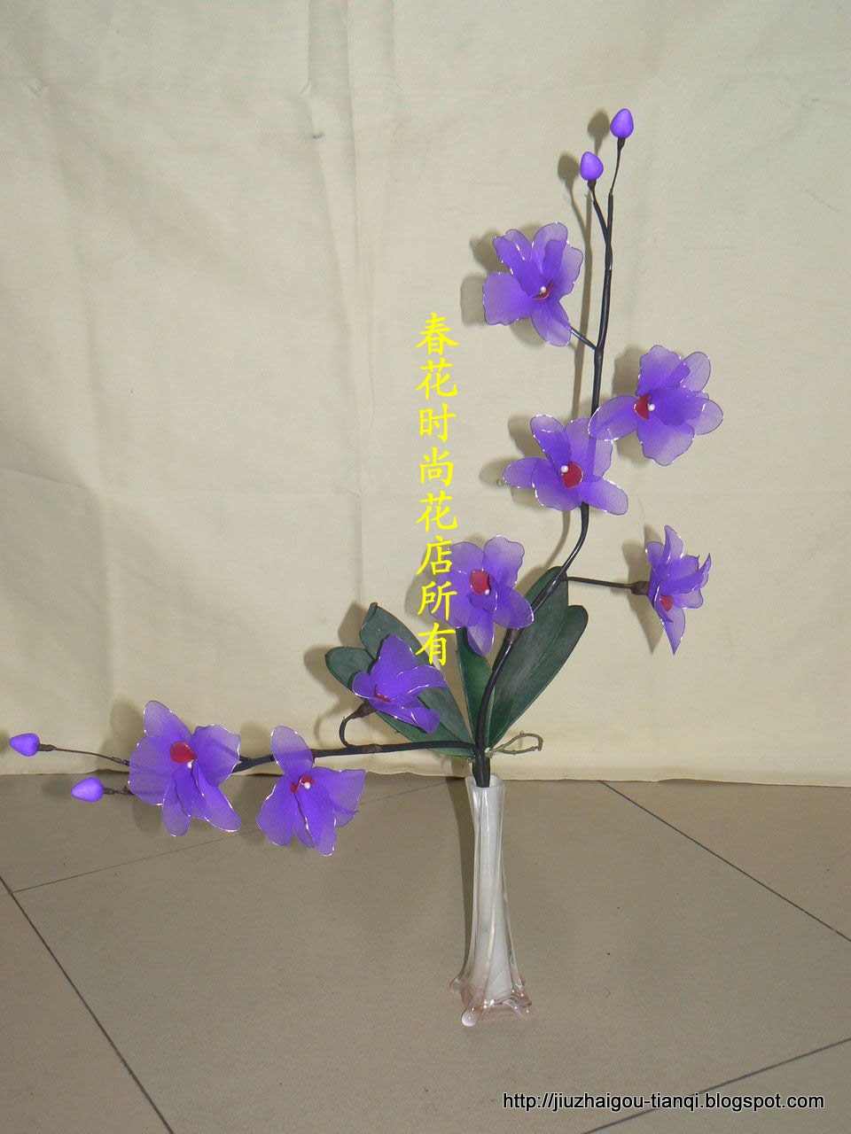 兰花 花:hua-09020112311705