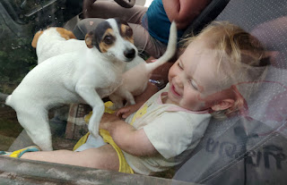 Rosie playing with Thelma and Louise