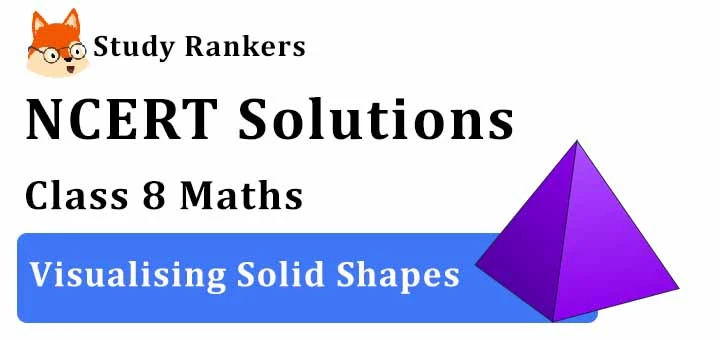 NCERT Solutions for Class 8 Maths Chapter 10 Visualising Solid Shapes