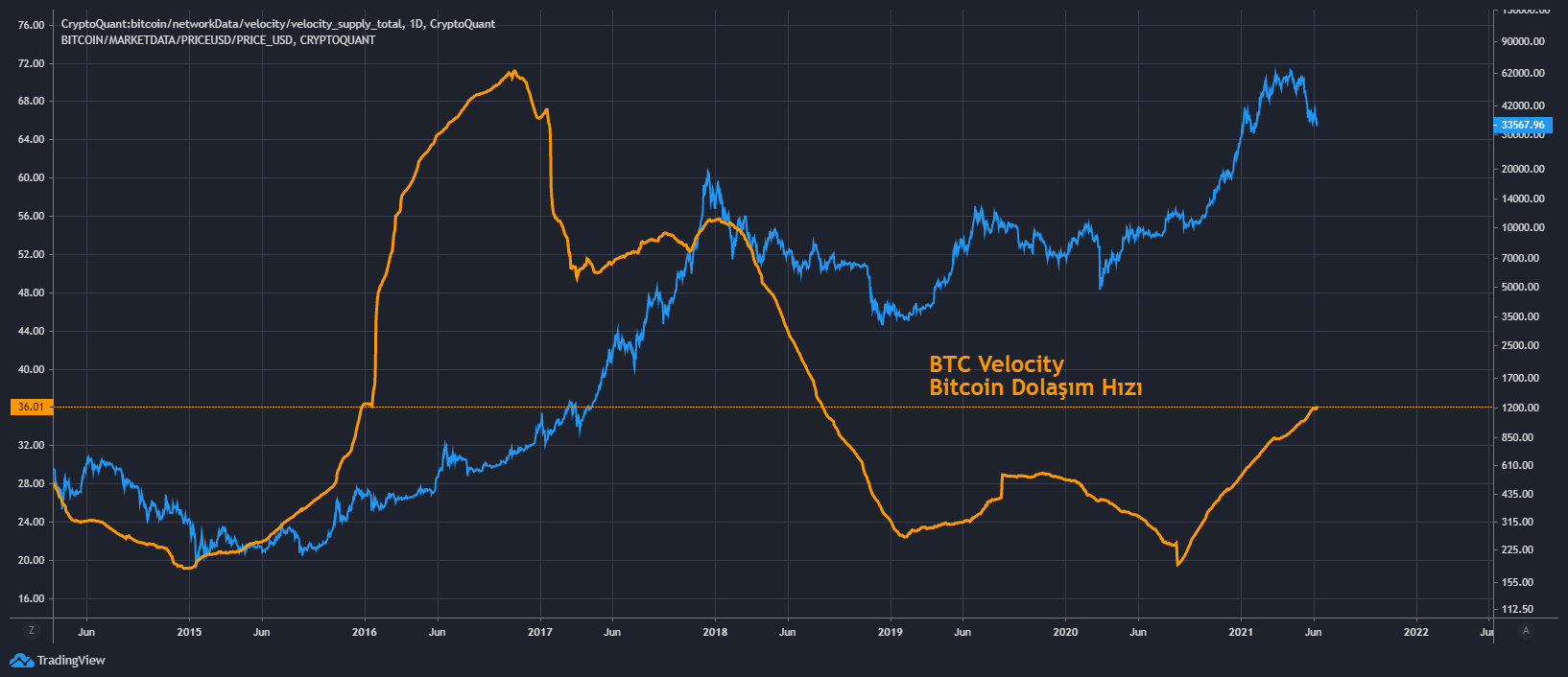 BTC Velocity