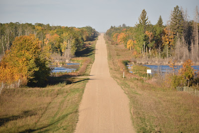 Trans Canada Trail concession road hike.