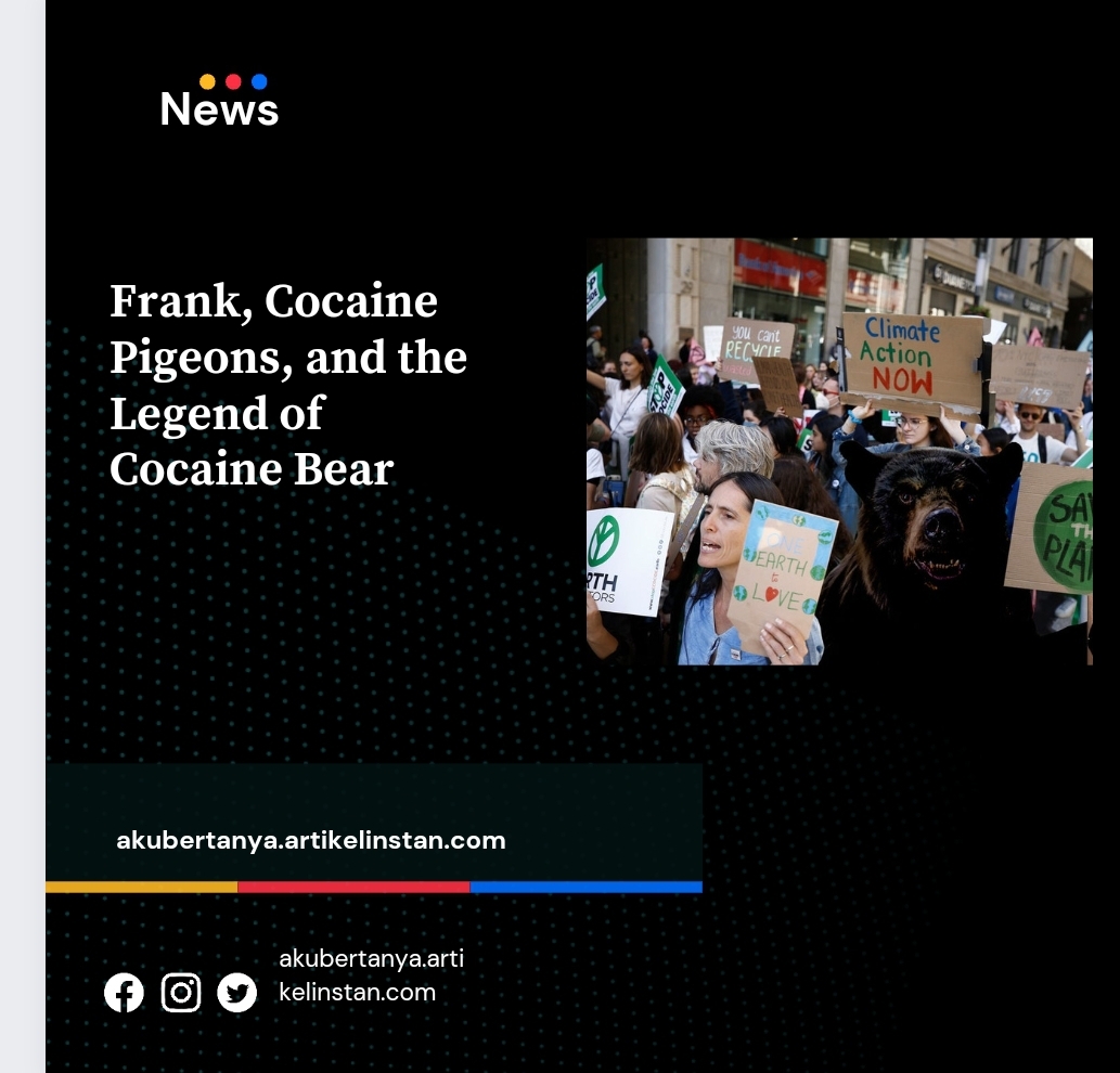 Frank, Cocaine Pigeons, and the Legend of Cocaine Bear