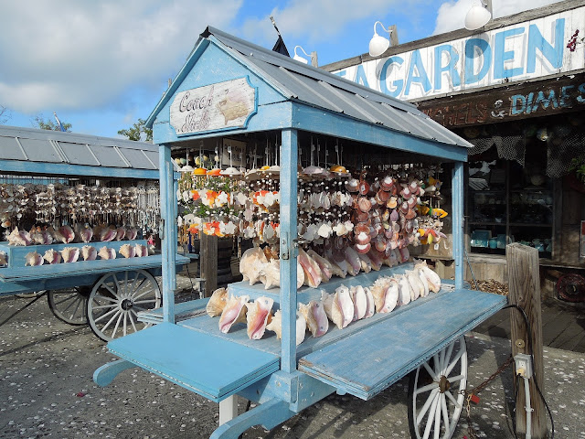 conch shell cart