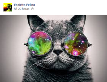 espiritofelino5 espiritofelino5