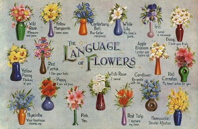 The Language Of Flowers