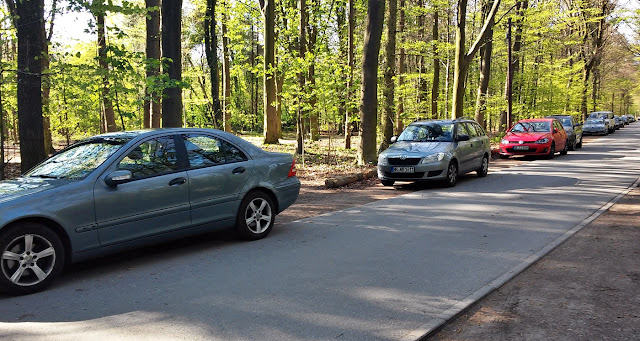 parkplatz niendorfer gehege an der Straße im Wald