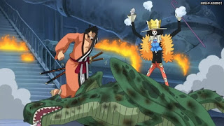 ワンピースアニメ パンクハザード編 608話 錦えもん ブルック | ONE PIECE Episode 608