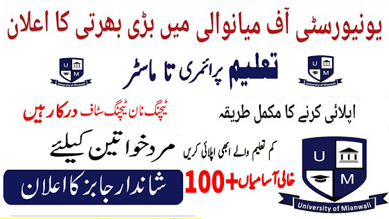 Today Government Latest University Of Mianwali Jobs 2024