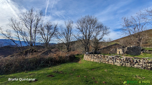 Braña Quintanal, Belmonte de Miranda