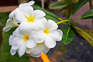   ดอกไม้ประจําชาติอาเซียน 10 ประเทศ, ดอกไม้ประจําชาติอาเซียน ภาษาอังกฤษ, ดอกไม้ประจําชาติพม่า, ดอกไม้ประจําชาติมาเลเซีย, ดอกไม้ประจําชาติกัมพูชา, ธงประจําชาติอาเซียน, ดอกไม้ประจำชาติไทย, ดอกไม้ประจำชาติลาว, ดอกไม้ประจําชาติอาเซียน doc