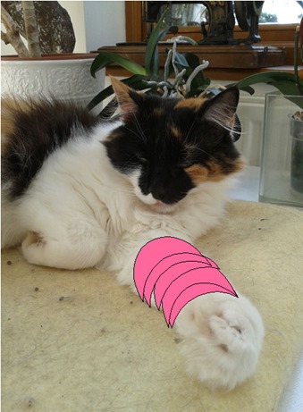 pink bandage