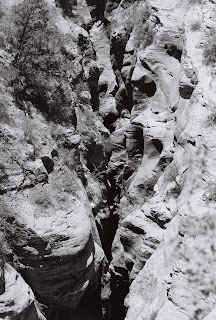 In Zion National Park