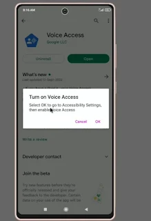 Voice Access Settings