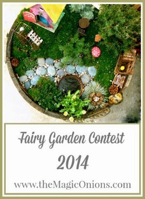 Magic Onions 2014 Fairy Contest