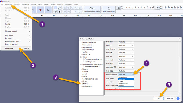 attivare openvino su audacity