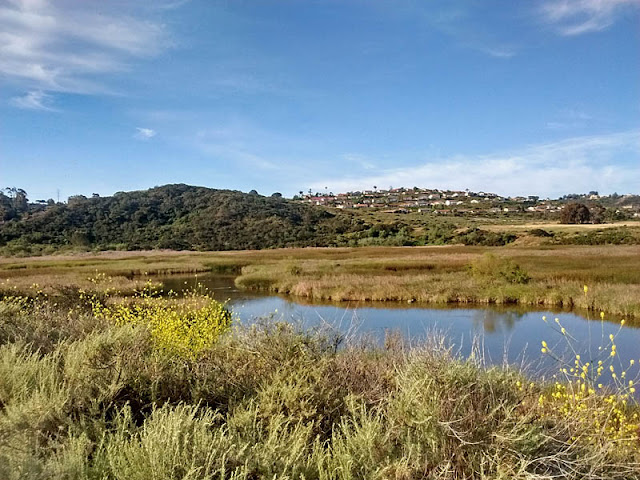 Stonebridge Trail