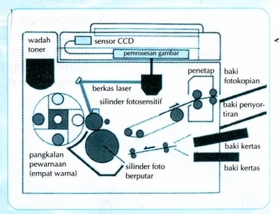 https://blogger.googleusercontent.com/img/b/R29vZ2xl/AVvXsEhuKebD5ExB-sGmtWMiKXEgN4HsX63WklU_oY09ZIQo0KnTTFK0zM2DasQ-h9EcMKaj3tiAr0dwx0MREePvG0bOns5SXEifwPDuQAeKn5KUcqjst2qvKh4PrPowlMpwXQZeCIEED-no4oP6/s1600/e.jpg