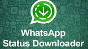  aplikasi Whatsapp Status Downloader lewat  Whatsapp Status Downloader