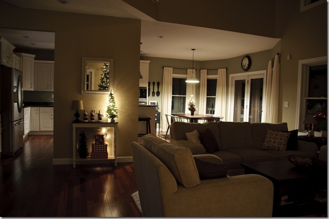 Night Xmas 033