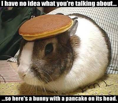  bunny with a pancake on its head.