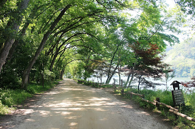 Riverside Walking Course, Nami Island