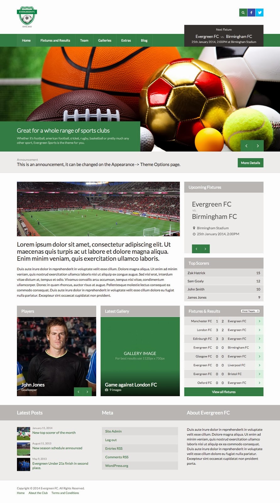 Wordpress sport themes