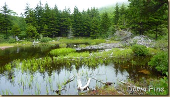 Bubble rock and Jordon pond_142