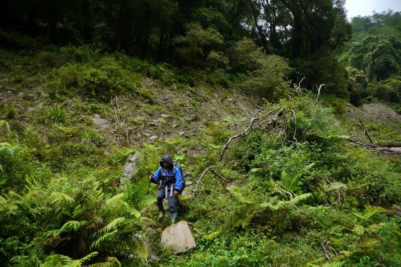 2014_0827-0830 鹿林山-4_006